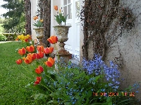 Spring flowers outside the salon
